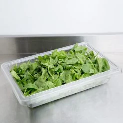 Kitchenware Cambro, Polycarbonate Food Storage Box (Medium), CLEAR