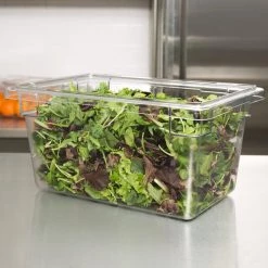 Kitchenware Cambro, Polycarbonate Food Storage Box (Medium), CLEAR