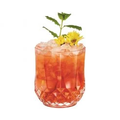 Tableware ARCOROC WEST LOOP TUMBLER 32 CL