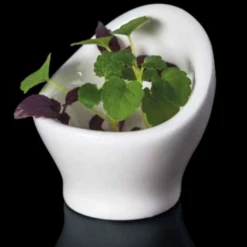 RAK Porcelain RAK MINIMAX OPTICA EGG CUP