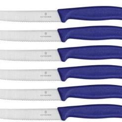 Victorinox SWISS CLASSIC TABLE KNIFE SET. 6 PIECES. BLUE