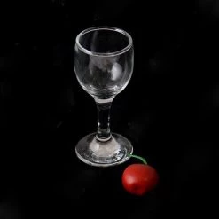 PASABACHE PASABAHCE BISTRO 2OZ