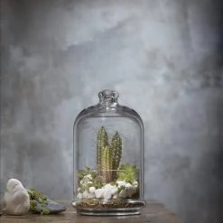 Tableware PASABACHE CLOCHE GLASS DOME JAR BELL